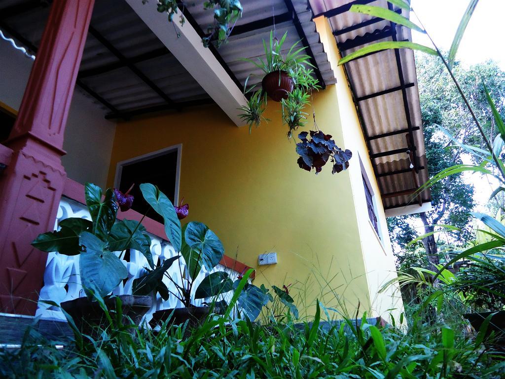 Sigiri Sithru Home Stay Sigiriya Dış mekan fotoğraf