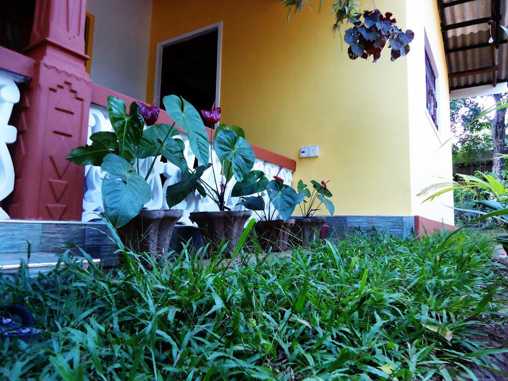 Sigiri Sithru Home Stay Sigiriya Dış mekan fotoğraf